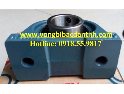 VÒNG BI PA207